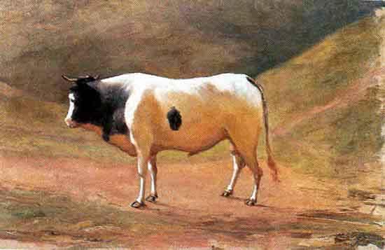 Benedito Calixto Ox grazing oil painting image